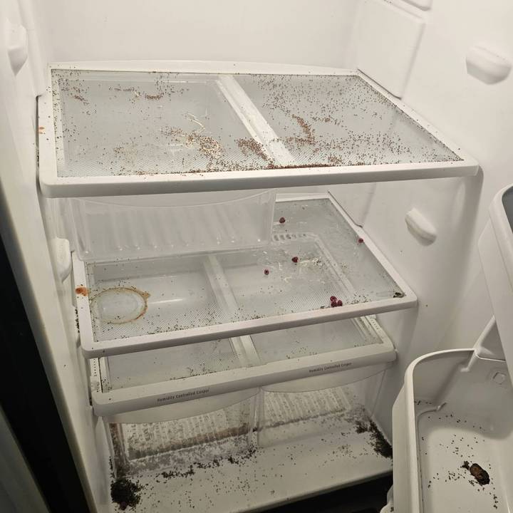 Refrigerator interior before cleaning